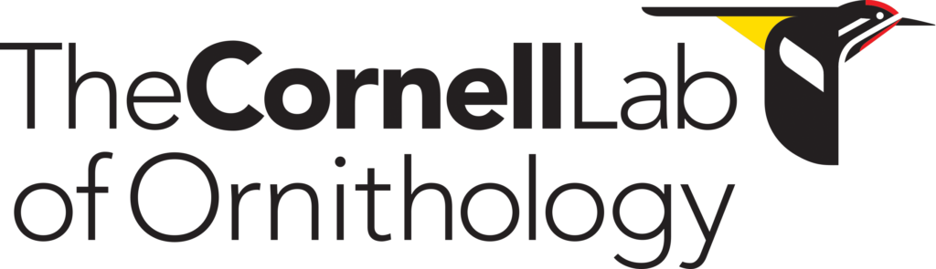 cornell lab of ornithology logo