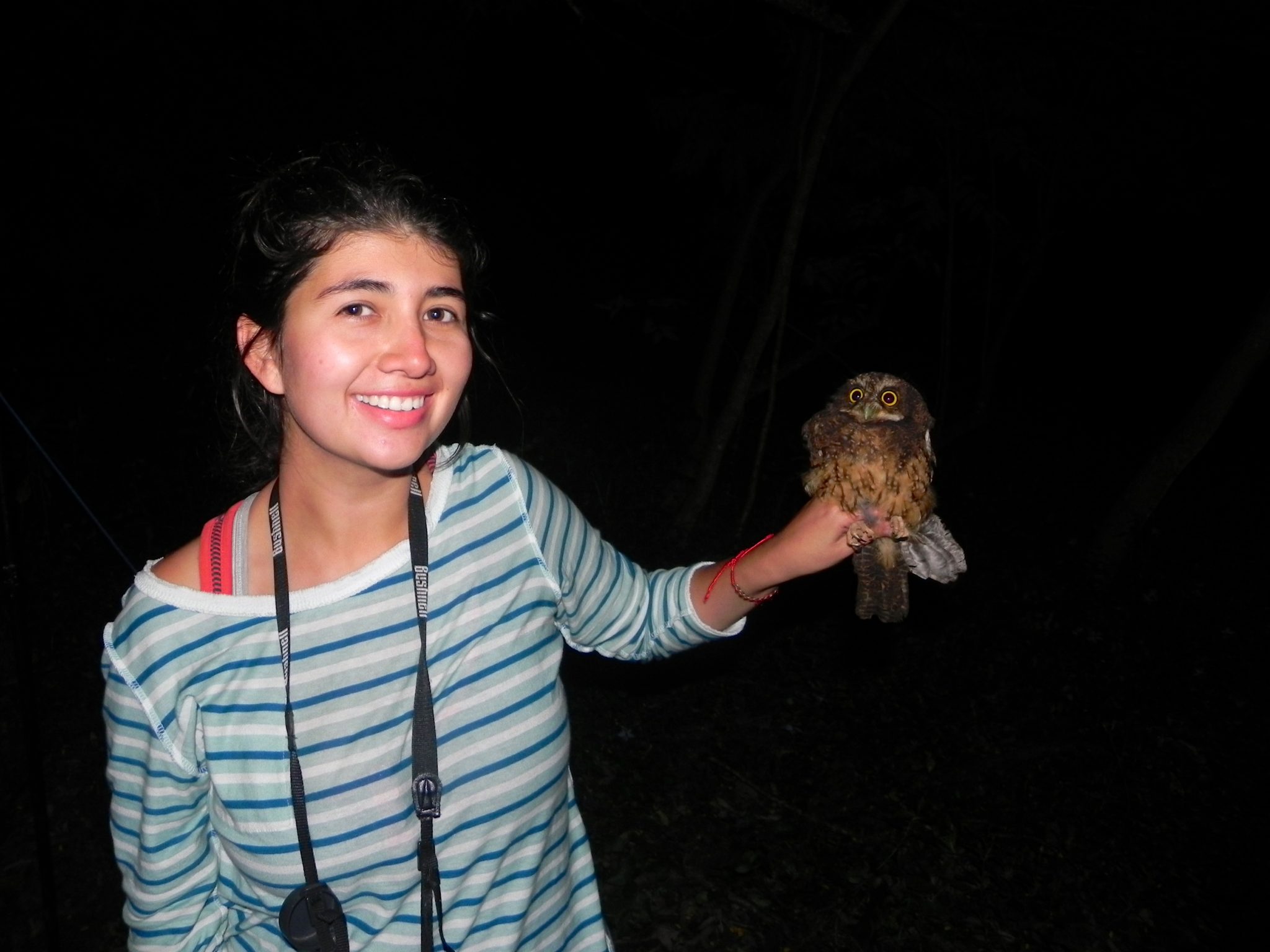 researcher holding a small owl