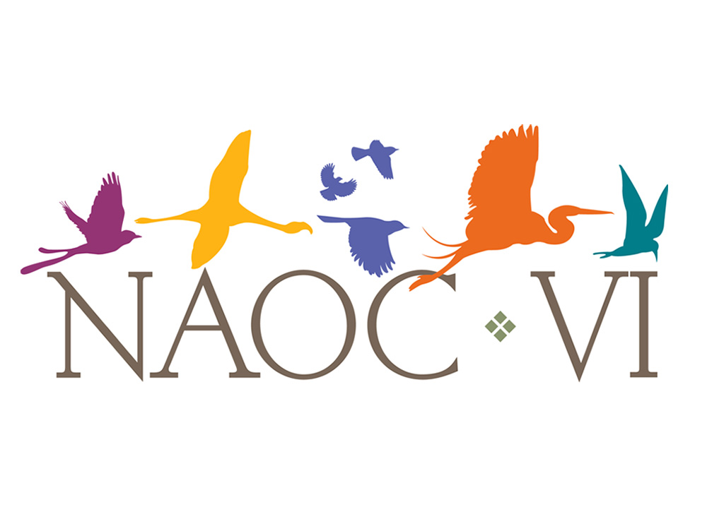 NAOC VI AOS 134th Stated Meeting logo