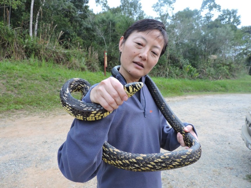 dr. miyaki holding a snake