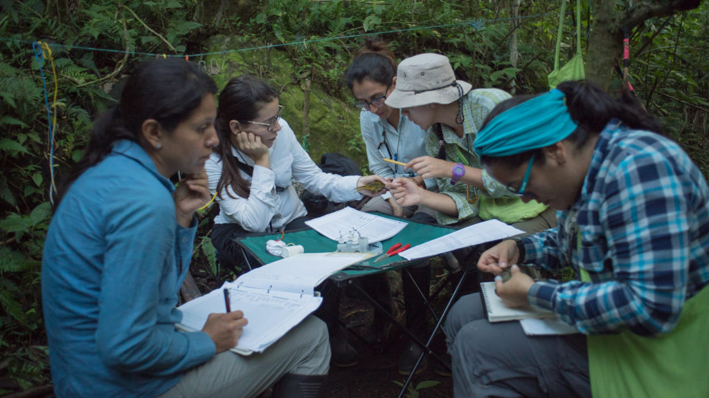a group of scientists sitting around a table in the forest, making notes, some holding birds