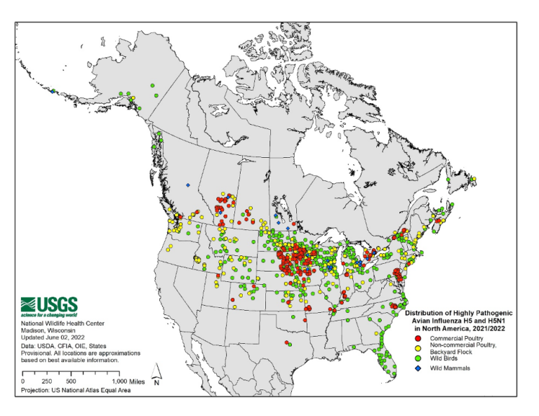 Highly pathogenic avian influenza (HPAI): An emerging disease threat in ...