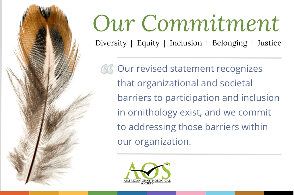 Image: On left is a brown, black, tan, white, and grey feather. Across the top it states Our Commitment: Diversity, Equity, Inclusion, Belonging, and Justice. Followed by a blog post pull quote, "Our revised statement recognizes that organizational and societal barriers to participation and inclusion in ornithology exist, and we commit to addressing those barriers within our organization." Below the text is the AOS logo. Across the bottom is a band of colors indicative of the PRIDE and BIPOC flag.