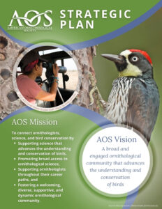 Cover image of the AOS Strategic Plan includes an Acorn Woodpecker on tree trunk with the AOS Mission and Vision text overlayed on bird image