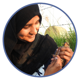 Faiza Hafeez wearing a hijab and handling bird while doing research