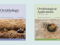 covers of AOS journals