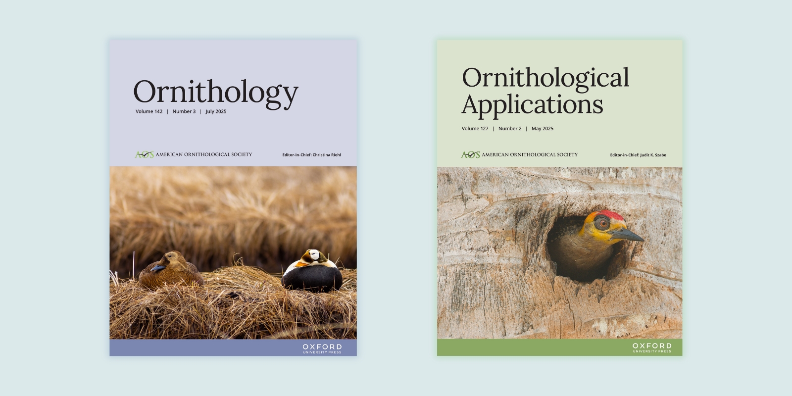 covers of AOS journals