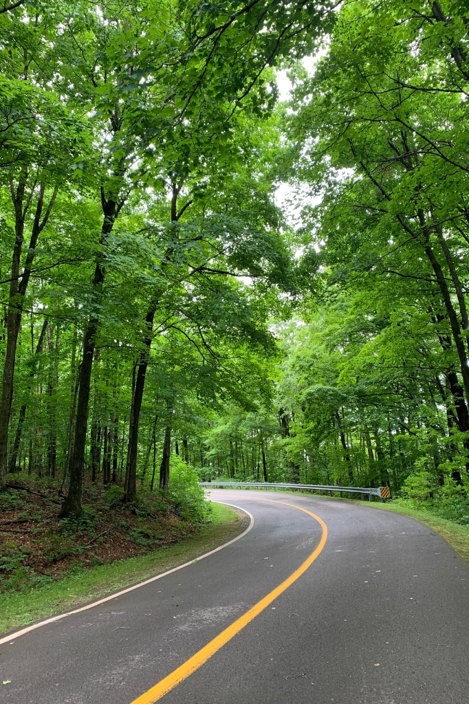 A road temporarily closed to motorized vehicle traffic in Gatineau Park, Québec, Canada. Photo by Millicent Gaston