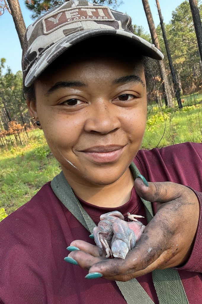 Lauren stands in a longleaf pine forest, holding several newly hatched Red-cockaded Woodpecker nestlings in her palm. She smiles at the camera, her hands dusty from fieldwork. Photo courtesy of Lauren Pharr
