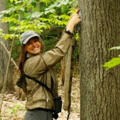 Millicent Gaston (project-lead) deploying an acoustic recorder in Gatineau Park, Québec, Canada. Photo by Zoë Stone.