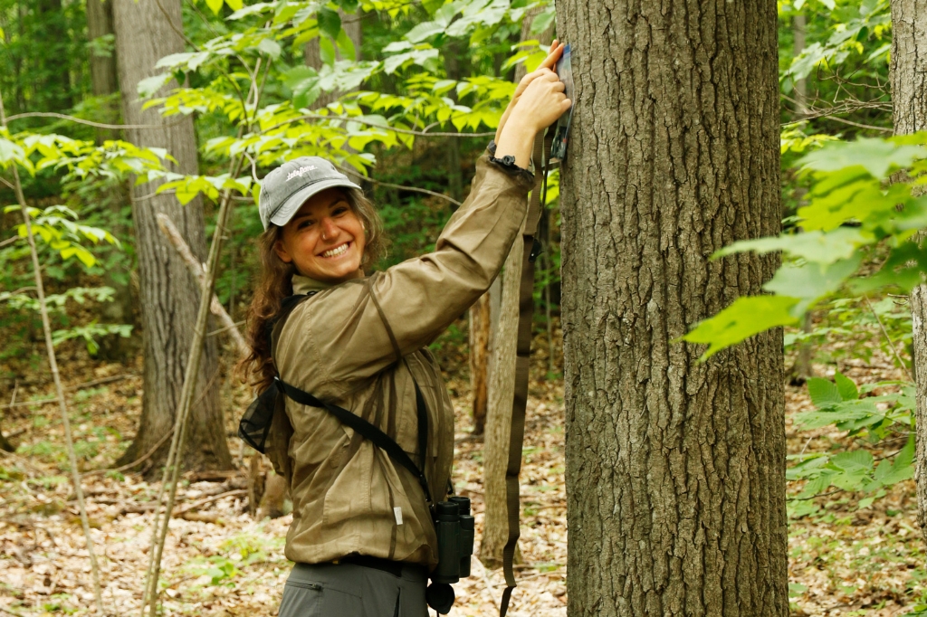Millicent Gaston (project-lead) deploying an acoustic recorder in Gatineau Park, Québec, Canada. Photo by Zoë Stone.