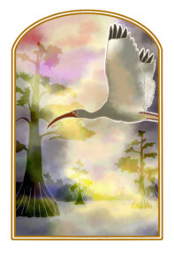 Eudocimus albus (White Ibis) flying through stormy conditions in a Bald Cyprus forest. Illustration by Chi Wei