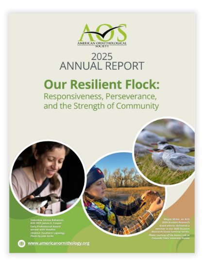 Cover of AOS Annual Report titled Our Resilient Flock: Responsiveness, Perseverance, and the Strength of Community. Below the title are three circles with images. In the first, the caption reads Valentina Gómez-Bahamón, AOS 2025 James G. Cooper Early Professional Award winner with Vanellus chilensis (Southern Lapwing). Photo by Jake Socha. In the second, the caption reads,                                Megan Miller, an AOS                            2024 Student Research
                        Grant winner delivered a
                   seminar in our 2025 Student
             Research Grant Seminar Series.
      Photo courtesy of the Ramos Lab at Colorado State University Pueblo. The third photo is of terns weathering a rain storm while huddled together in grass.