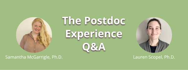 The Postdoc Experience Q&A